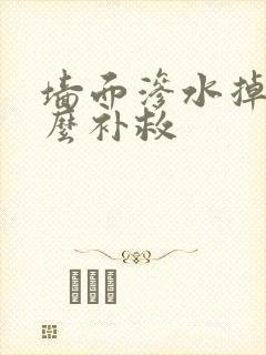 墙面渗水掉了怎么补救