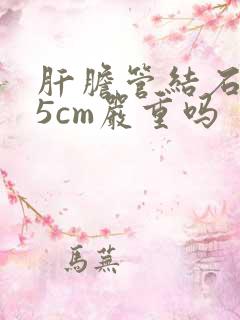 肝胆管结石0.5cm严重吗