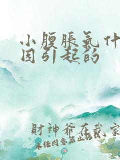 小腹胀气什么原因引起的