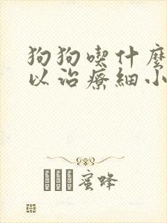 狗狗吃什么药可以治疗细小