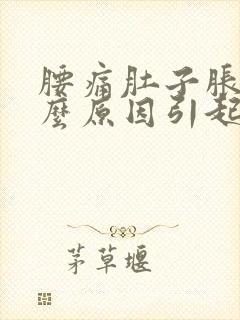 腰痛肚子胀痛什么原因引起的