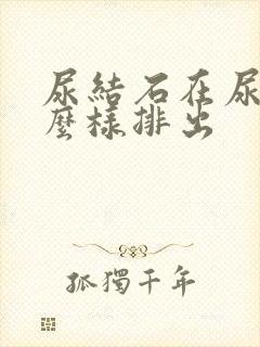 尿结石在尿管怎么样排出