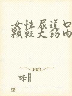 女性尿道口有一颗较大的肉球