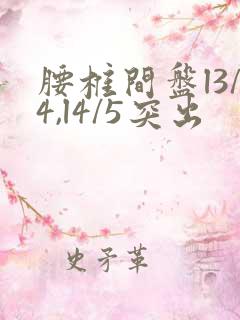 腰椎间盘l3/4,l4/5突出