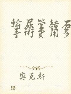 输尿管结石软镜手术费用多少