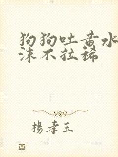 狗狗吐黄水带泡沫不拉稀