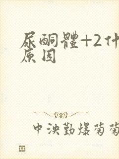 尿酮体+2什么原因