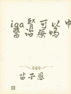 iga肾可以中医治疗吗