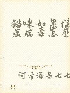 猫咪如果携带猫瘟病毒怎么办