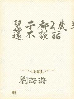 儿子都2岁半了还不说话