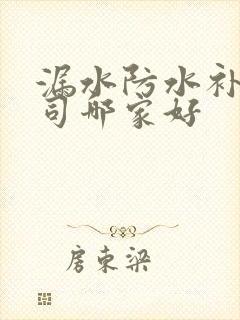 漏水防水补漏公司哪家好