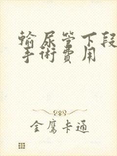 输尿管下段结石手术费用