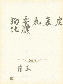 狗睾丸表皮溃烂化脓