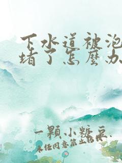 下水道被泡沫胶堵了怎么办