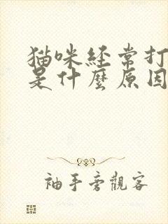 猫咪经常打喷嚏是什么原因