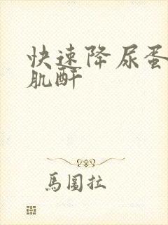 快速降尿蛋白降肌酐