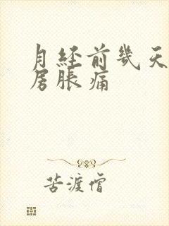 月经前几天会乳房胀痛