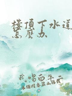 楼顶下水道堵了怎么办