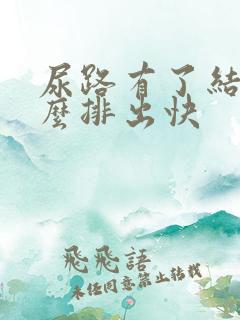 尿路有了结石怎么排出快