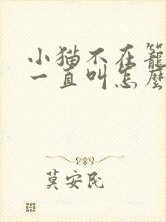 小猫不在笼子里一直叫怎么办