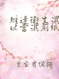 维达卫生湿巾可以当湿厕纸吗