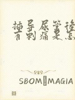 插导尿管后尿道有刺痛是怎么办