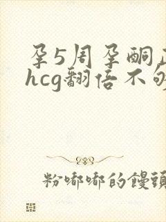 孕5周孕酮正常hcg翻倍不够