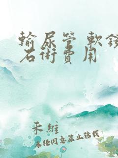 输尿管 软镜取石术费用