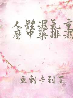 人体湿气重吃什么中药排湿气