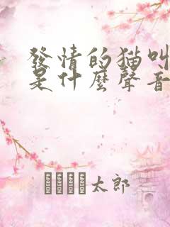 发情的猫叫声音是什么声音