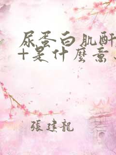 尿蛋白肌酐比1+是什么意思