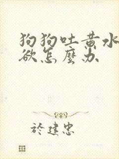 狗狗吐黄水没食欲怎么办