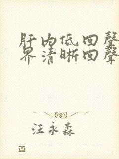 肝内低回声团边界清晰回声欠均匀