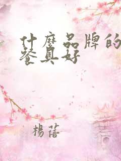 什么品牌的骨瓷餐具好