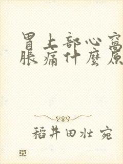 胃上部心窝处堵胀痛什么原因