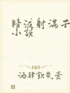 精液射满子宫h小说