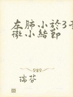 左肺小于3毫米微小结节