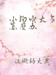 小狗吃太多吐了怎么办