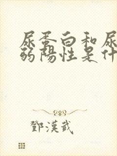 尿蛋白和尿隐血弱阳性是什么意思