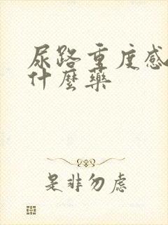 尿路重度感染吃什么药