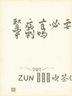 肾病有必要做肾穿刺吗