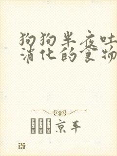 狗狗半夜吐了未消化的食物怎么办