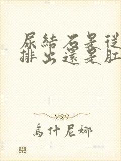 尿结石是从尿道排出还是肛门排出