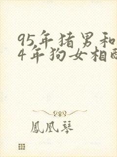 95年猪男和94年狗女相配吗