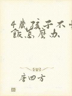 4岁孩子不爱吃饭怎么办