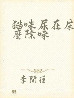 猫咪尿在床上怎么除味