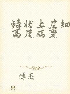 鳞状上皮细胞内高度病变