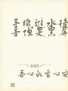 手机进水后有声音但是黑屏怎么办