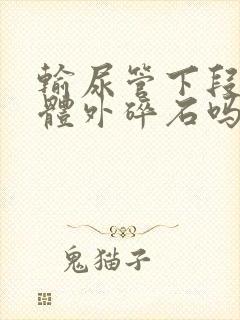 输尿管下段结石体外碎石吗