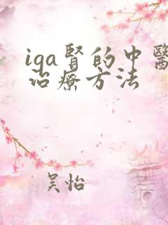 iga肾的中医治疗方法